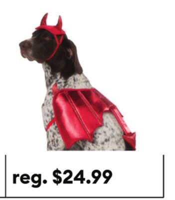 Thrills & Chills® Devil Dog & Cat Costume Set
