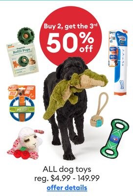 ALL dog toys