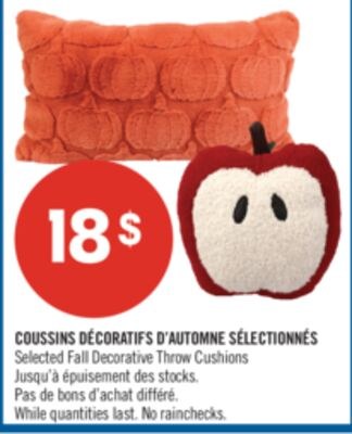COUSSINS DÉCORATIFS D'AUTOMNE SÉLECTIONNÉS