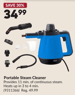 Portable Steam Cleaner