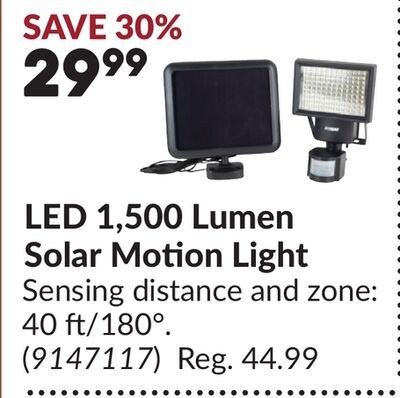 LED 1,500 Lumen Solar Motion Light
