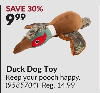 Duck Dog Toy