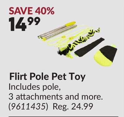 Flirt Pole Pet Toy