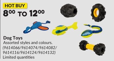 Dog Toys