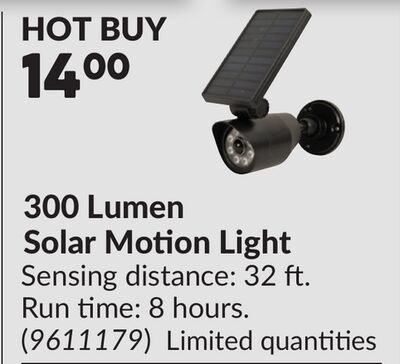300 Lumen Solar Motion Light