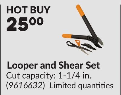 Looper and Shear Set