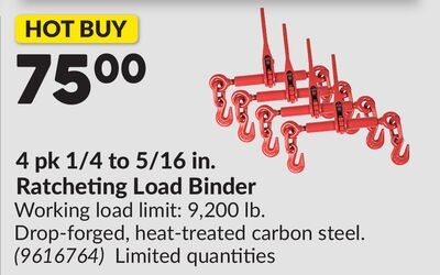 4 pk 1/4 to 5/16 in. Ratcheting Load Binder