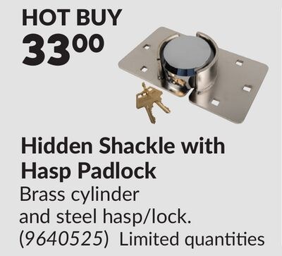 Hidden Shackle with Hasp Padlock