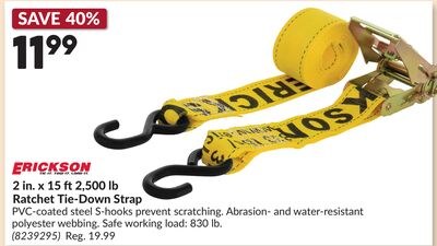 2 in. x 15 ft2,500 lb Ratchet Tie-Down Strap