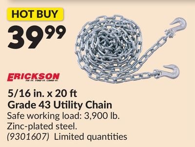 5/16 in. x 20 ft Grade 43 Utility Chain