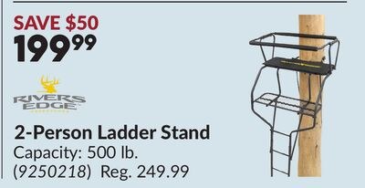 2-Person Ladder Stand