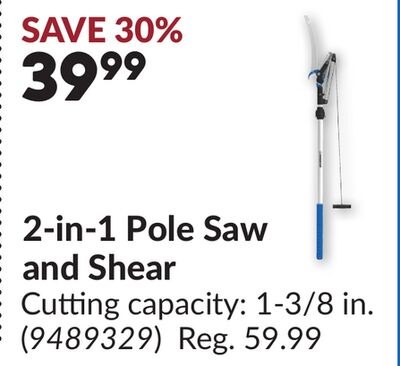 2-in-1 Pole Saw and Shear