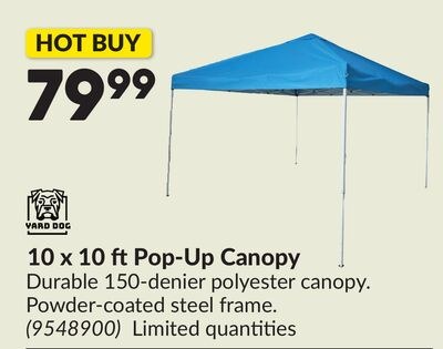 10 x 10 ft Pop-Up Canopy