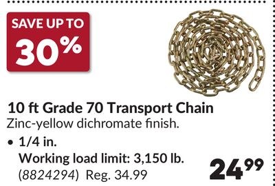 10 ft Grade 70 Transport Chain