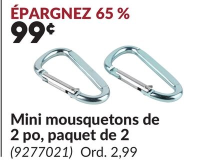 Mini mousquetons de 2 po, paquet de 2