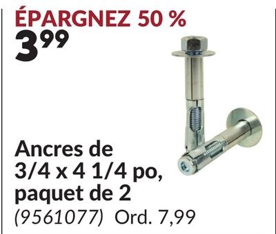Ancres de 3/4 x 4 1/4 po, paquet de 2
