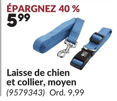 Laisse de chien et collier, moyen