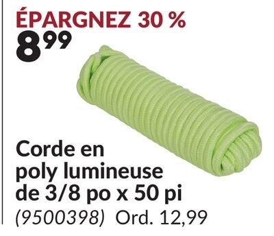 Corde en poly lumineuse de 3/8 po x 50 pi