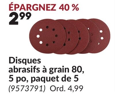 Disques abrasifs à grain 80, 5 po, paquet de 5