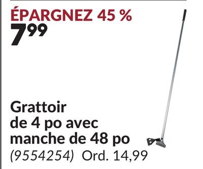 Grattoir de 4 po avec manche de 48 po