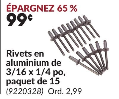 Rivets en aluminium de 3/16 x 1/4 po, paquet de…