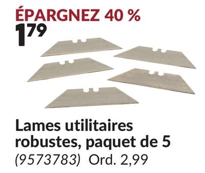 Lames utilitaires robustes, paquet de 5