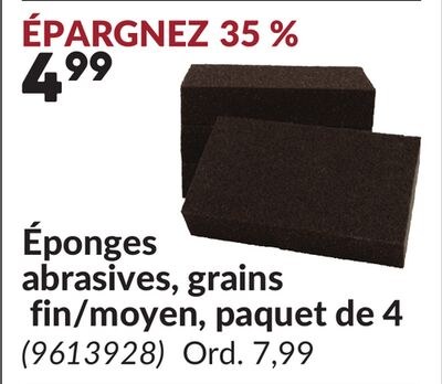 Éponges abrasives, grains fin/moyen, paquet de 4