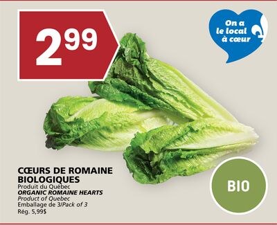 CŒURS DE ROMAINE BIOLOGIQUES