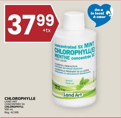 CHLOROPHYLLE LAND ART