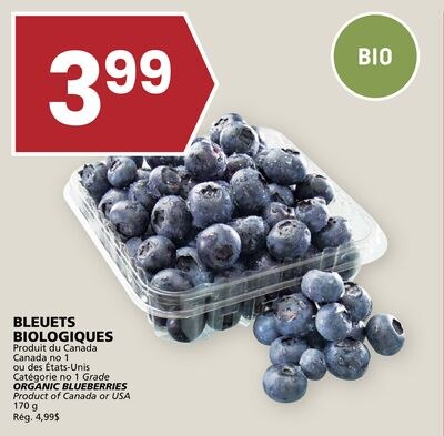 BLEUETS BIOLOGIQUES
