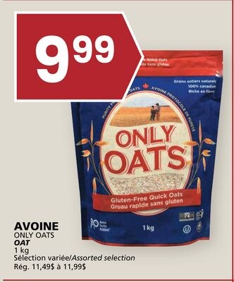 AVOINE ONLY OATS