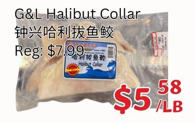 G&L Halibut Collar