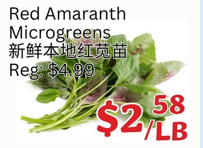 Red Amaranth Microgreens
