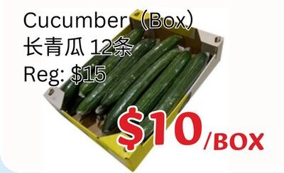 Cucumber