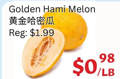 Golden Hami Melon