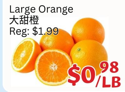 Large Orange