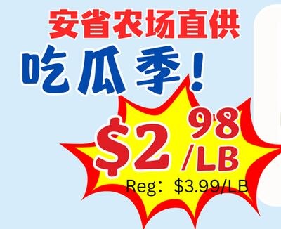 安省农场直供吃瓜季!