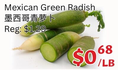 Mexican Green Radish