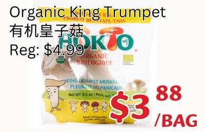 Organic King Trumpet
