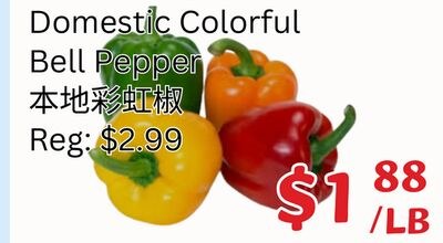 Domestic Colorful Bell Pepper