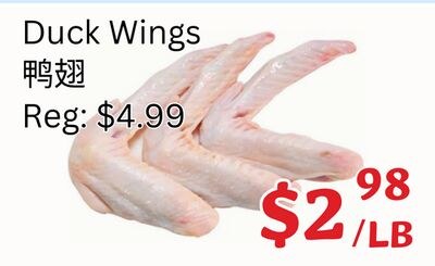 Duck Wings