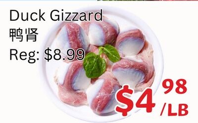 Duck Gizzard