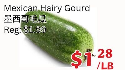 Mexican Hairy Gourd