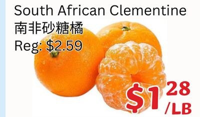 South African Clementine