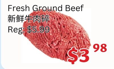 Fresh Ground Beef