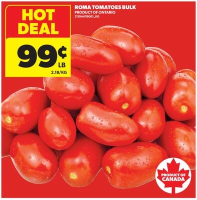 ROMA TOMATOES BULK