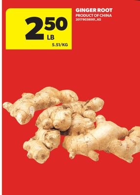 GINGER ROOT