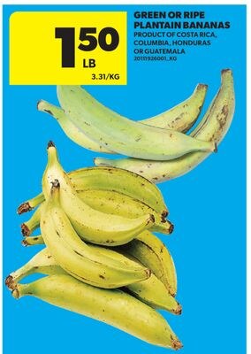 GREEN OR RIPE PLANTAIN BANANAS