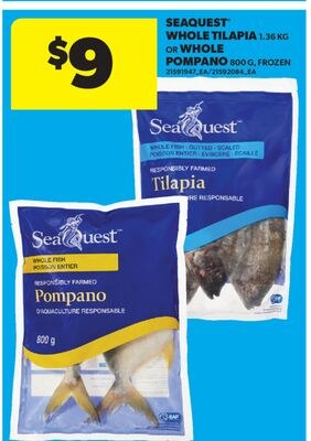 SEAQUEST® WHOLE TILAPIA 1.36 KG OR WHOLE POMPAN…