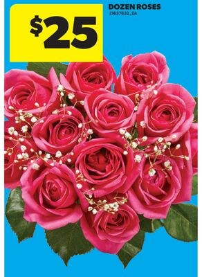 DOZEN ROSES